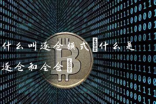 什么叫逐仓模式(什么是逐仓和全仓)