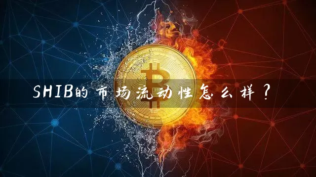 SHIB的市场流动性怎么样？