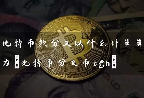 比特币软分叉以什么计算算力(比特币分叉币bgh)