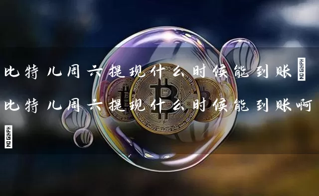 比特儿周六提现什么时候能到账(比特儿周六提现什么时候能到账啊)