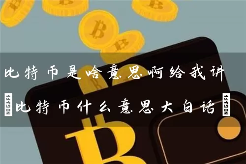 比特币是啥意思啊给我讲(比特币什么意思大白话)