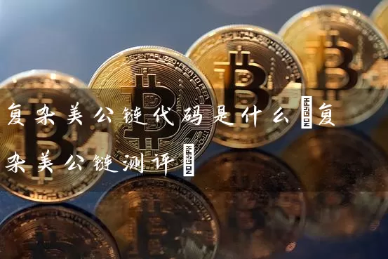 复杂美公链代码是什么(复杂美公链测评)