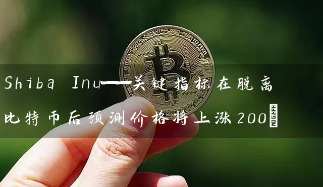Shiba Inu——关键指标在脱离比特币后预测价格将上涨200%