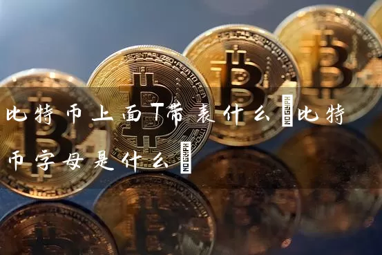 比特币上面T带表什么(比特币字母是什么)