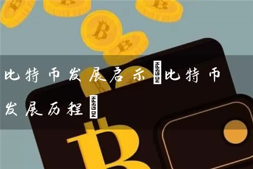 比特币发展启示(比特币发展历程)