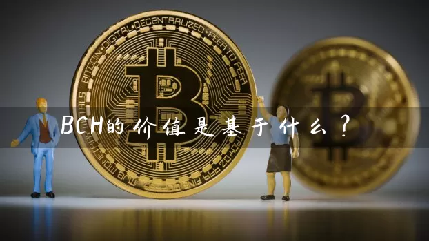 BCH的价值是基于什么？