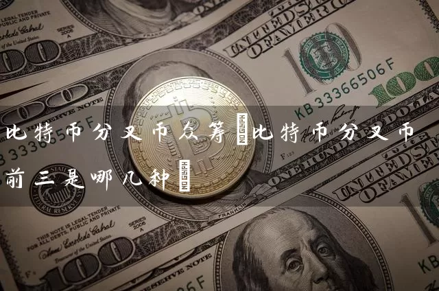 比特币分叉币众筹(比特币分叉币前三是哪几种)