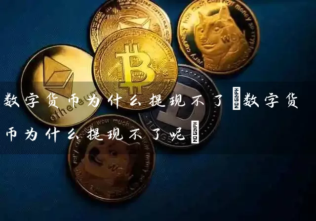 数字货币为什么提现不了(数字货币为什么提现不了呢)