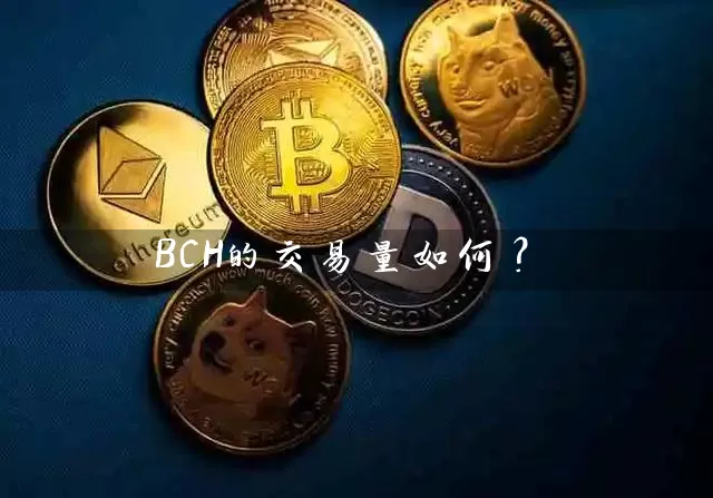 BCH的交易量如何？