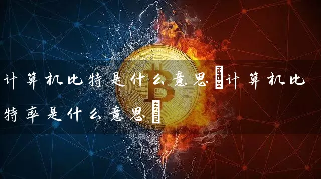 计算机比特是什么意思(计算机比特率是什么意思)