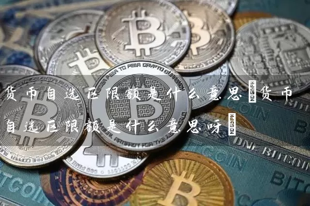 货币自选区限额是什么意思(货币自选区限额是什么意思呀)