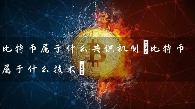 比特币属于什么共识机制(比特币属于什么技术)