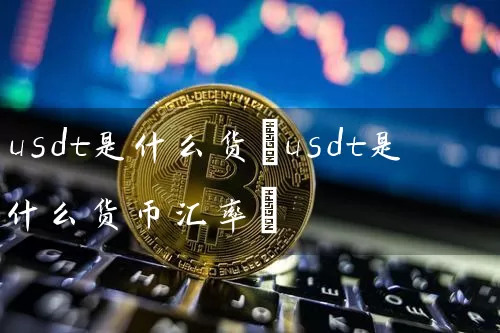 usdt是什么货(usdt是什么货币汇率)