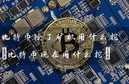 比特币除了矿机用什么挖(比特币现在用什么挖)