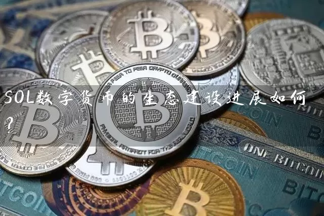 SOL数字货币的生态建设进展如何？