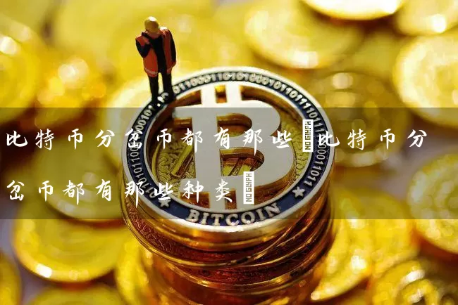 比特币分岔币都有那些(比特币分岔币都有那些种类)