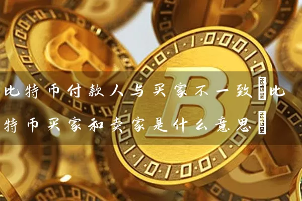 比特币付款人与买家不一致(比特币买家和卖家是什么意思)