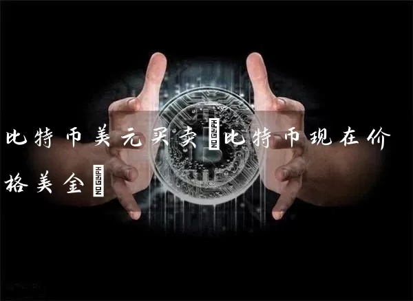 比特币美元买卖(比特币现在价格美金)