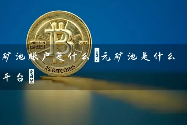 矿池账户是什么(元矿池是什么平台)