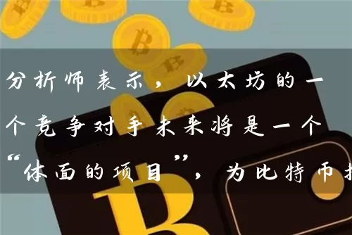 分析师表示，以太坊的一个竞争对手未来将是一个“体面的项目”，为比特币指明了前进的道路