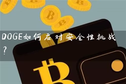DOGE如何应对安全性挑战？