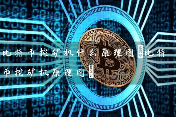 比特币挖矿机什么原理图(比特币挖矿机原理图)