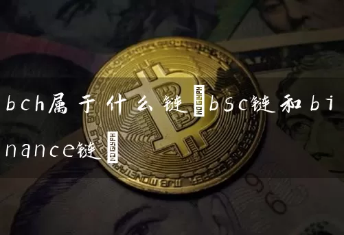 bch属于什么链(bsc链和binance链)