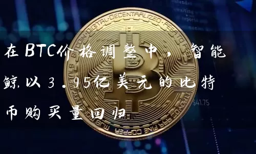 在BTC价格调整中，智能鲸以3.95亿美元的比特币购买量回归