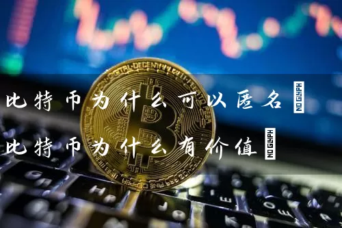 比特币为什么可以匿名(比特币为什么有价值)