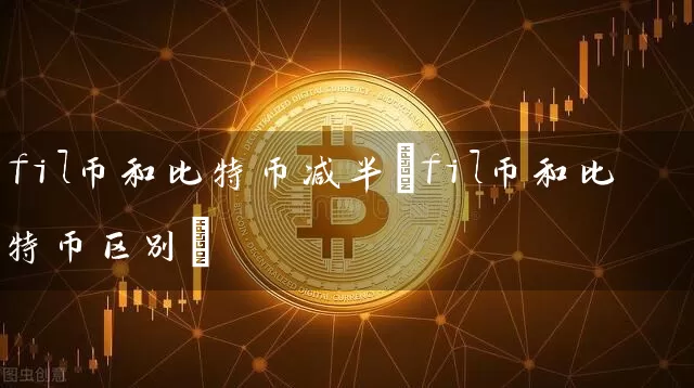 fil币和比特币减半(fil币和比特币区别)