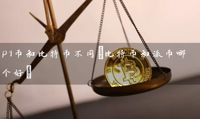 pi币和比特币不同(比特币和派币哪个好)