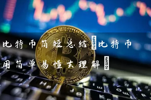 比特币简短总结(比特币用简单易懂去理解)
