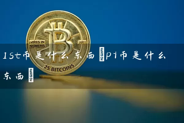 1st币是什么东西(pi币是什么东西)