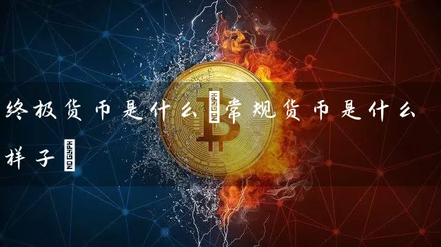 终极货币是什么(常规货币是什么样子)