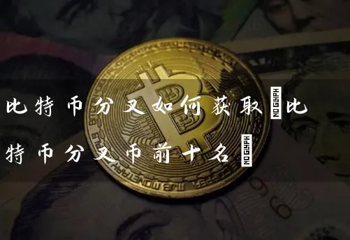 比特币分叉如何获取(比特币分叉币前十名)