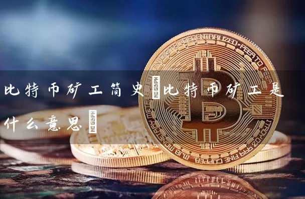 比特币矿工简史(比特币矿工是什么意思)