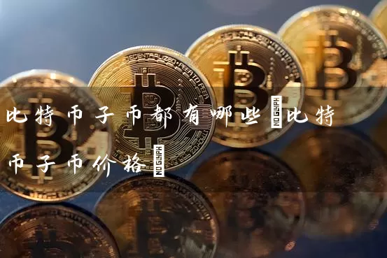 比特币子币都有哪些(比特币子币价格)