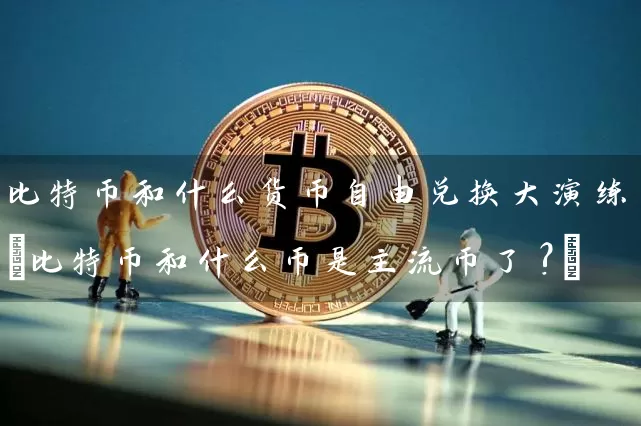 比特币和什么货币兑换大演练(比特币和什么币是主流币了?)