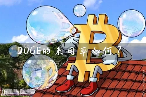 DOGE的采用率如何？