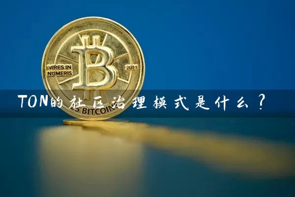 TON的社区治理模式是什么？