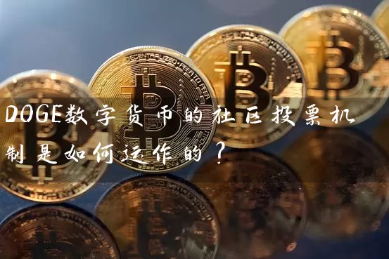 DOGE数字货币的社区投票机制是如何运作的？