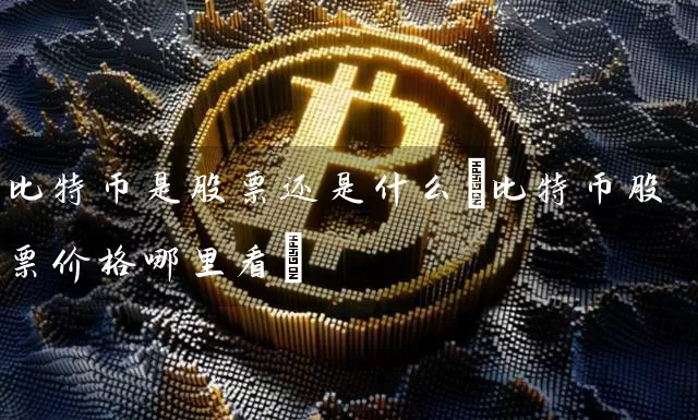 比特币是股票还是什么(比特币股票价格哪里看)
