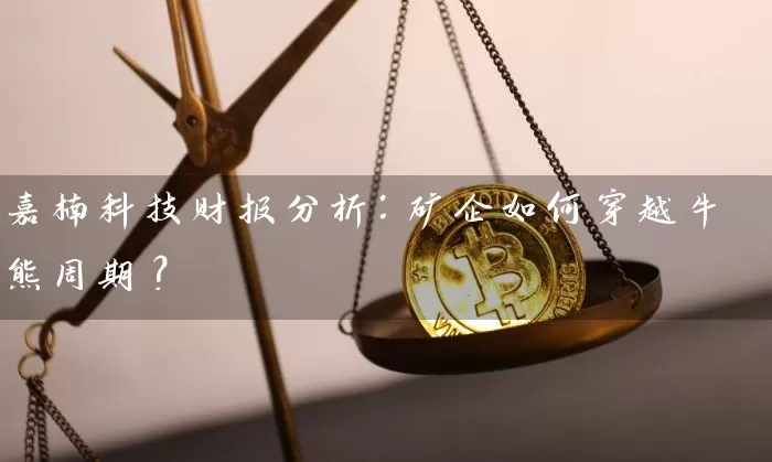 嘉楠科技财报分析：矿企如何穿越牛熊周期？