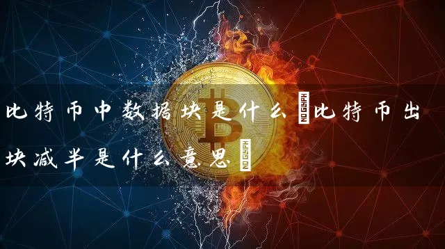 比特币中数据块是什么(比特币出块减半是什么意思)