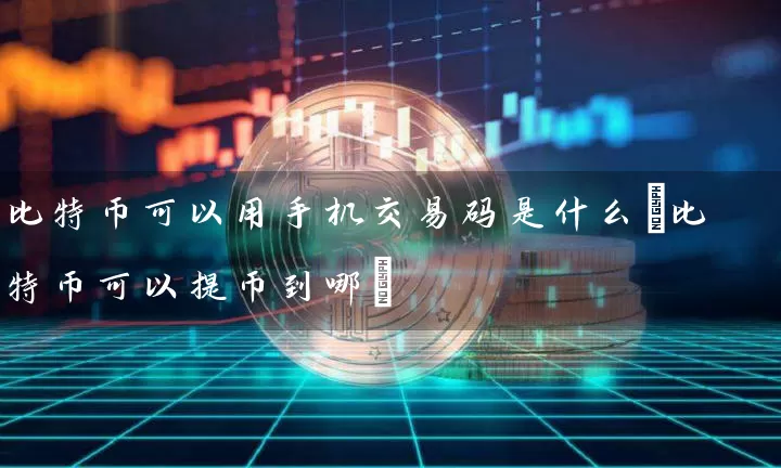 比特币可以用手机交易码是什么(比特币可以提币到哪)