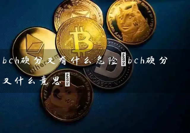 bch硬分叉有什么危险(bch硬分叉什么意思)