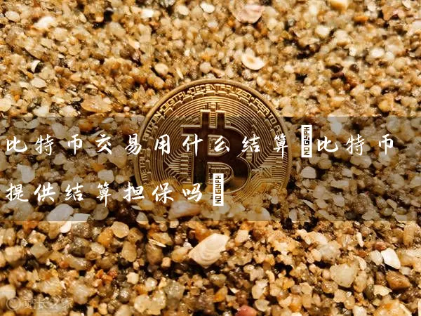 比特币交易用什么结算(比特币提供结算吗)