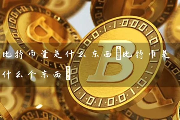 比特币量是什么东西(比特币是什么个东西)
