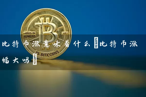 比特币涨意味着什么(比特币涨幅大吗)