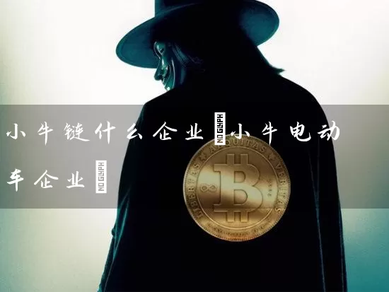 小牛链什么企业(小牛电动车企业)
